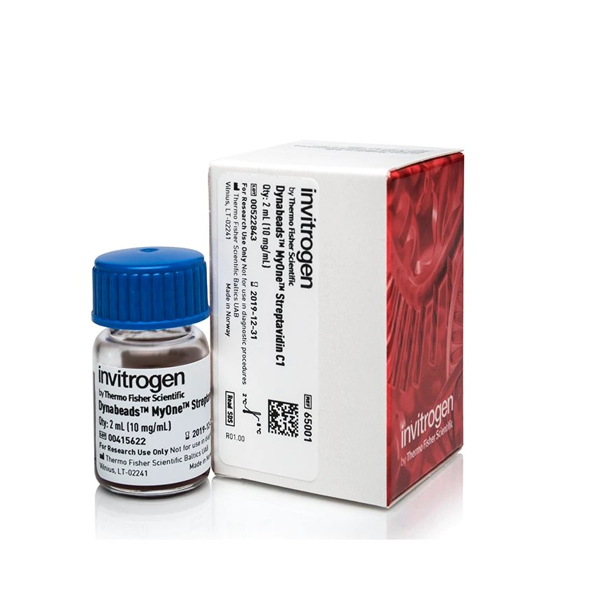 Invitrogen™ Dynabeads™ MyOne™ Streptavidin C1, 2 mL