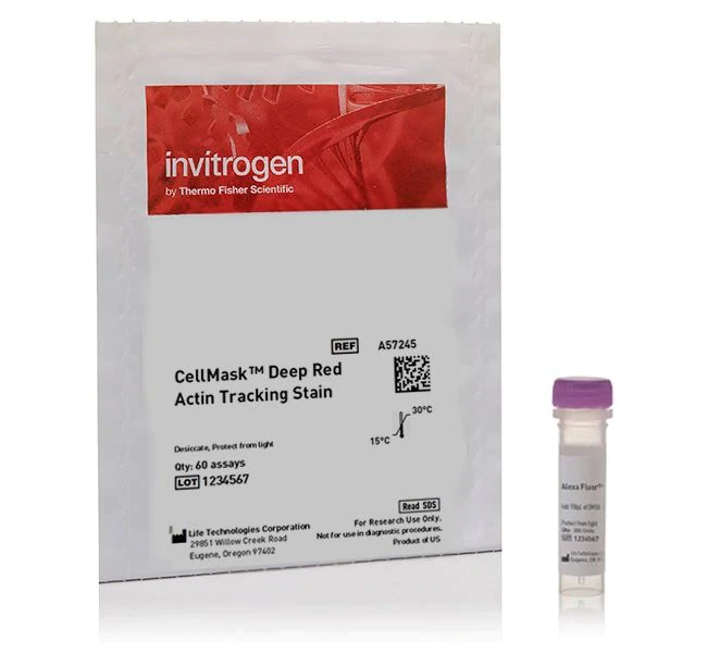Invitrogen™ CellMask™ Deep Red Actin Tracking Stain, 1 x 60 assays