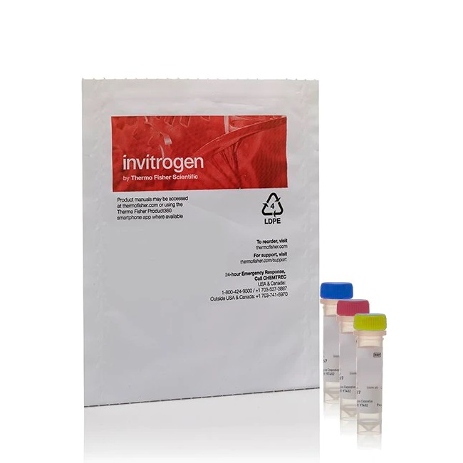 Invitrogen™ Vybrant™ Multicolor Cell-Labeling Kit (DiO, DiI, DiD Solutions, 1 mL each)