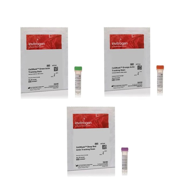 Invitrogen™ CellMask™ Actin Tracking Stain Variety Pack