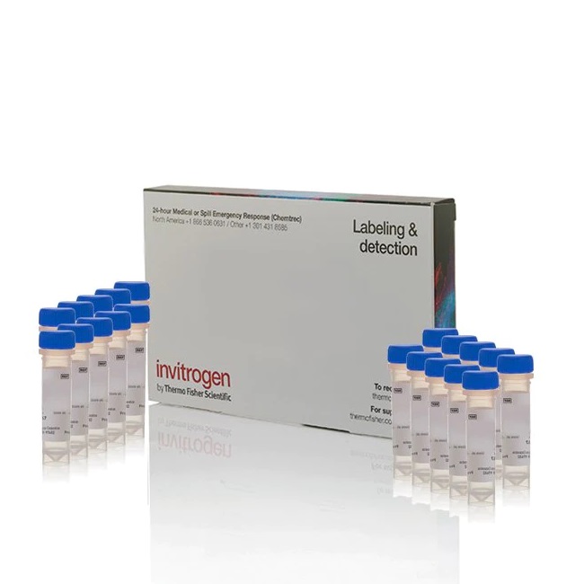 Invitrogen™ LysoSensor™ Green DND-189 - Special Packaging