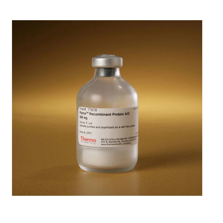 Thermo Scientific™ Pierce™ Recombinant Protein A/G, 500 mg
