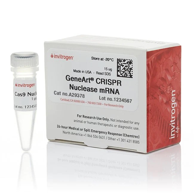 Invitrogen™ GeneArt™ CRISPR Nuclease mRNA
