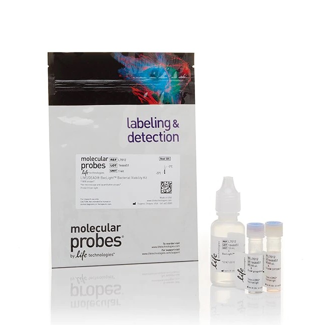 Invitrogen™ LIVE/DEAD™ BacLight™ Bacterial Viability Kit, for microscopy & quantitative assays