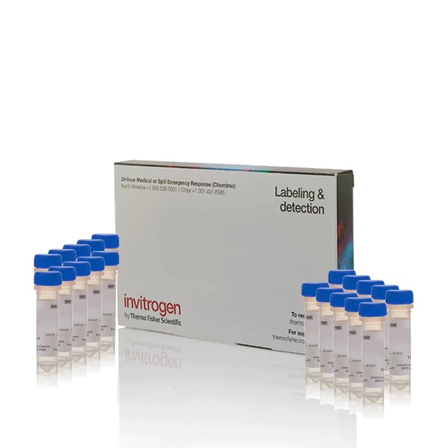 Invitrogen™ CM-H2DCFDA (General Oxidative Stress Indicator)