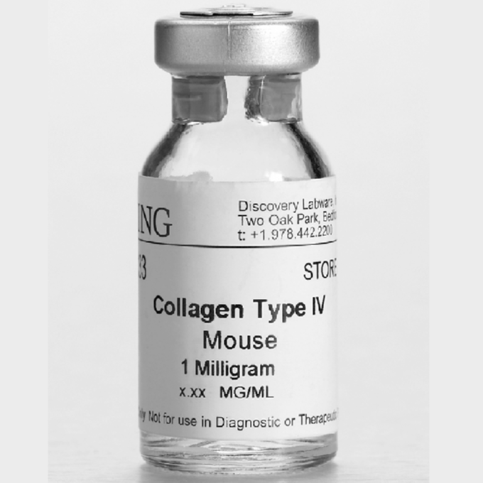 Corning® 10 mg Collagen IV, Mouse