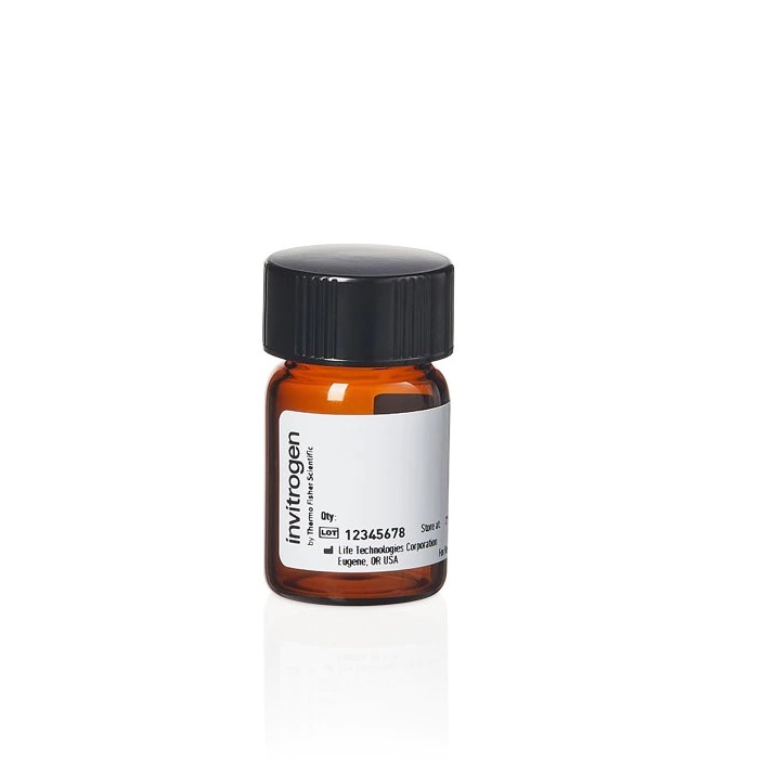 Invitrogen™ 5-CR 6G, SE (5-Carboxyrhodamine 6G, Succinimidyl Ester), single isomer