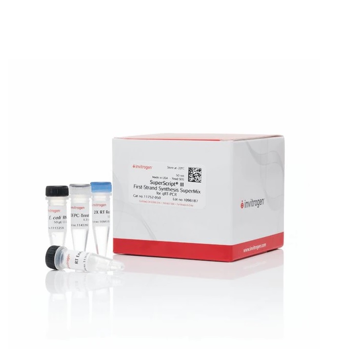 Invitrogen™ SuperScript™ III First-Strand Synthesis SuperMix for qRT-PCR, 250 Reactions