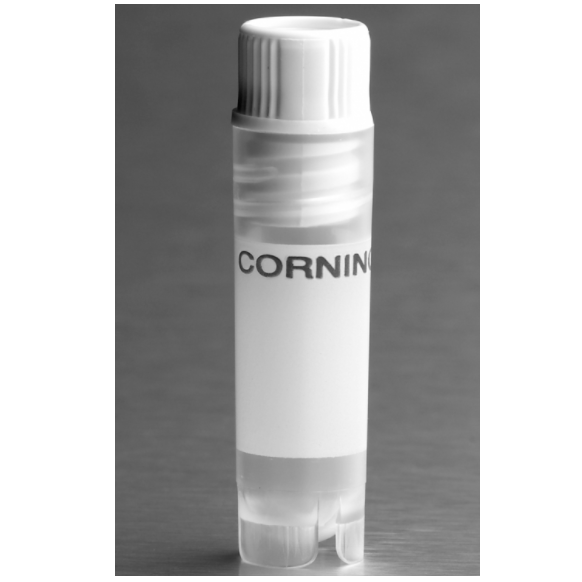 Corning® 2 mL White Cap Internal Threaded Polypropylene Cryogenic Vial, Self-Standing with Round Bottom