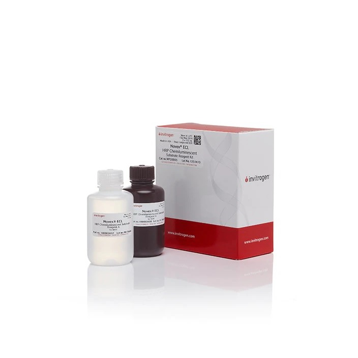 Invitrogen™ Novex™ ECL Chemiluminescent Substrate Reagent Kit
