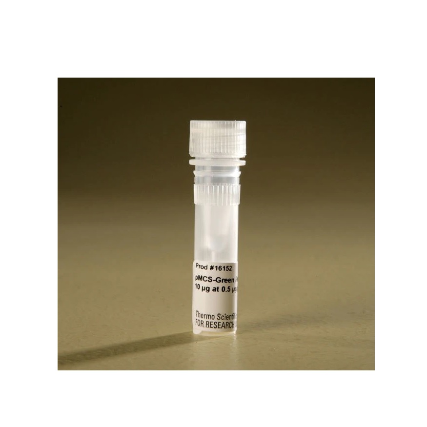 Thermo Scientific™ pMCS-Green Renilla Luc Vector for Luciferase Assays