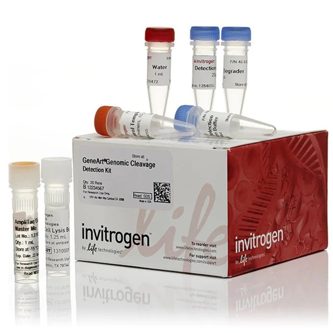 Invitrogen™ GeneArt™ Genomic Cleavage Detection Kit