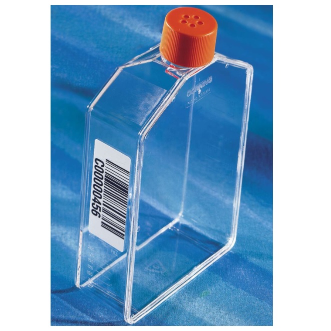 Corning® CellBIND® Angled Neck Cell Culture Flask with Vent Cap and Bar Code, 175cm²