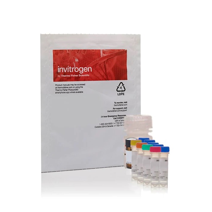 Invitrogen™ Amplex™ Red Glucose/Glucose Oxidase Assay Kit