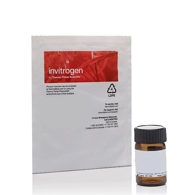Invitrogen™ Tetramethylrhodamine, Ethyl Ester, Perchlorate (TMRE)