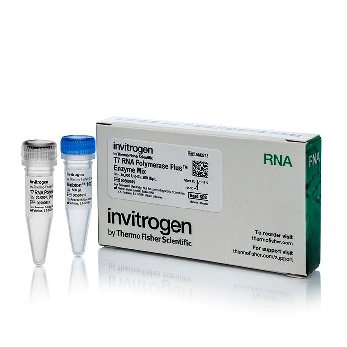Invitrogen™ T7 RNA Polymerase-Plus™ Enzyme Mix (200 U/μL)