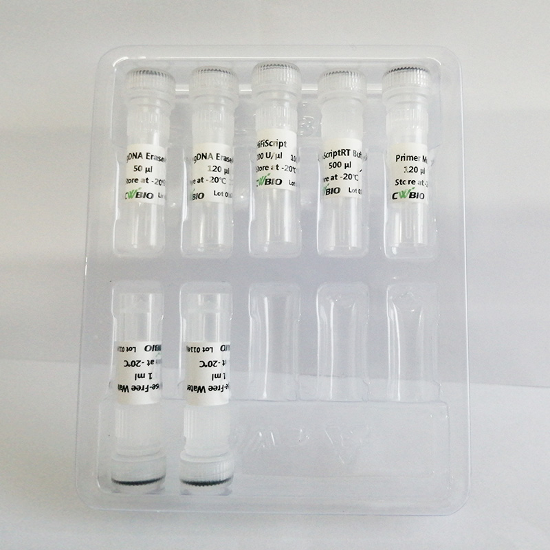 CWbio™, HiFiScript gDNA Removal cDNA Synthesis Kit, 100 rxns