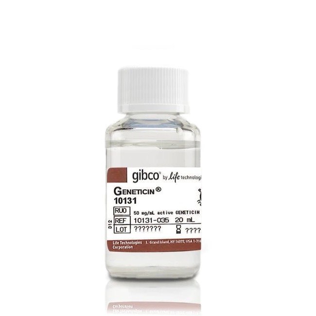 Gibco™ Geneticin™ Selective Antibiotic (G418 Sulfate) (50 mg/mL), 20 mL