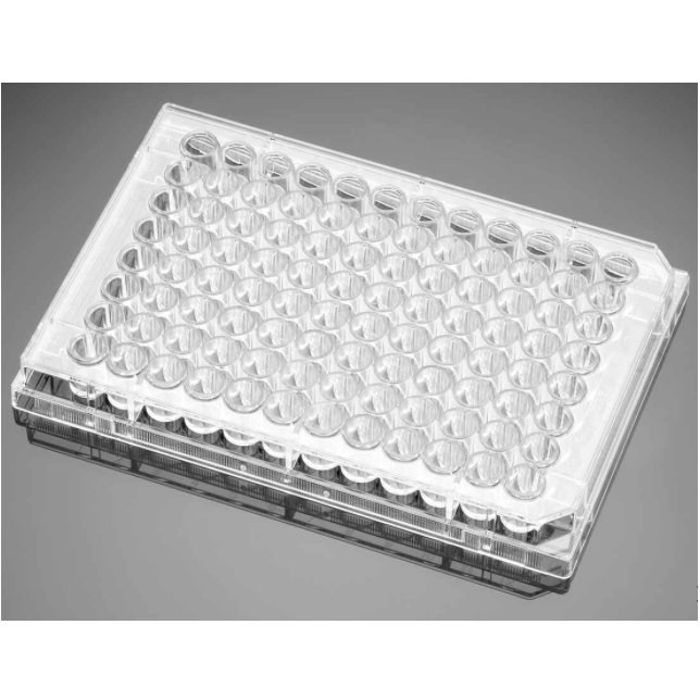 Corning® BioCoat® Poly-L-Lysine 96-well Clear TC-treated Flat Bottom Microplate, with Lid