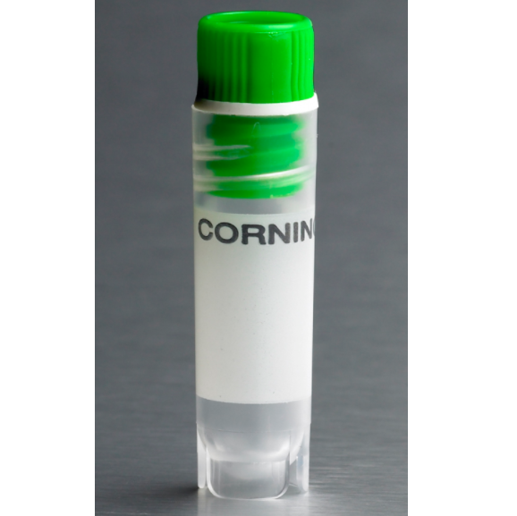 Corning® 2 mL Green Cap Internal Threaded Polypropylene Cryogenic Vial, Self-Standing with Round Bottom