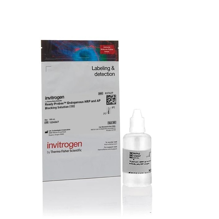 Invitrogen™ ReadyProbes™ Endogenous HRP and AP Blocking Solution (1X)