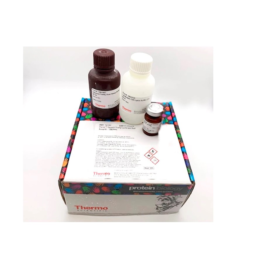 Thermo Scientific™ Pierce™ Firefly Luciferase Glow Assay Kit, 1000 Reactions