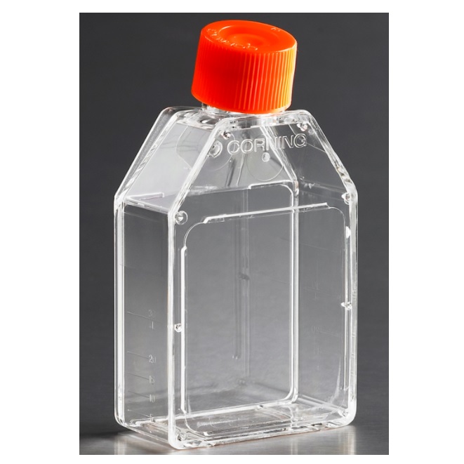 Corning® Rectangular Canted Neck Cell Culture Flask with Plug Seal Cap, 25 cm²