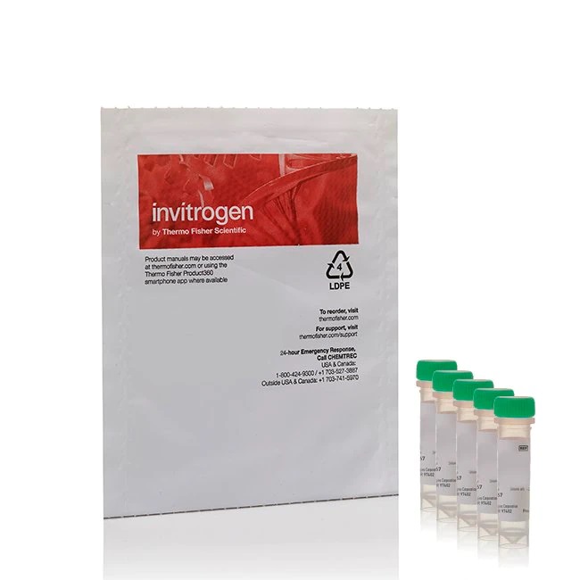 Invitrogen™ Image-iT™ Green Hypoxia Reagent, 5 vials