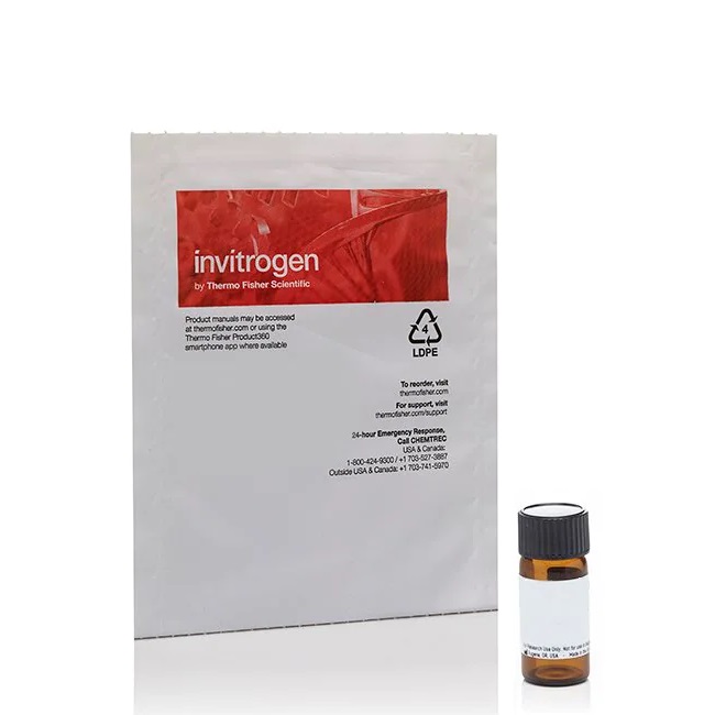 Invitrogen™ Wheat Germ Agglutinin, Texas Red™-X Conjugate