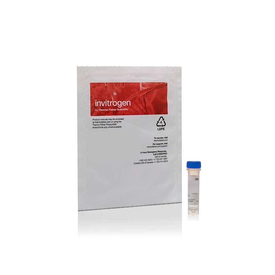 Invitrogen™ pHrodo™ Red, succinimidyl ester (pHrodo™ Red, SE)