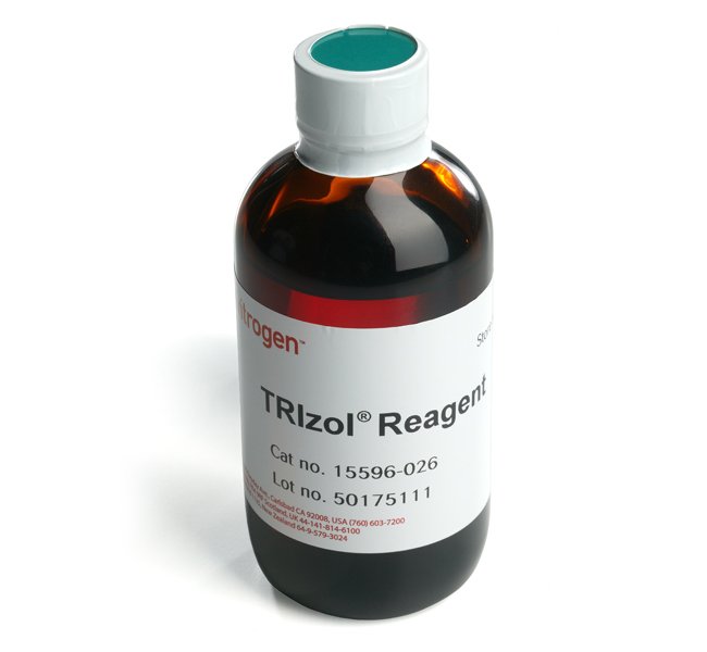 Invitrogen™ TRIzol™ Reagent, 200 mL