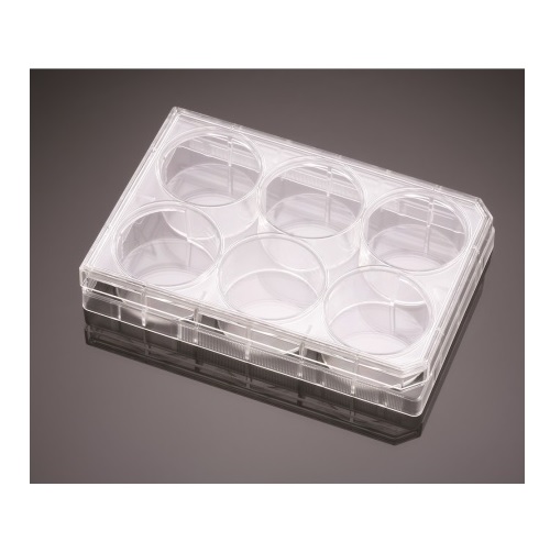 Corning® BioCoat® Collagen I 6-well Clear Flat Bottom TC-treated Multiwell Plate, with Lid, 50/Cs