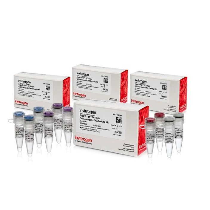 Invitrogen™ SuperScript™ IV Single Cell/Low Input cDNA PreAmp Kit, 192 Reactions