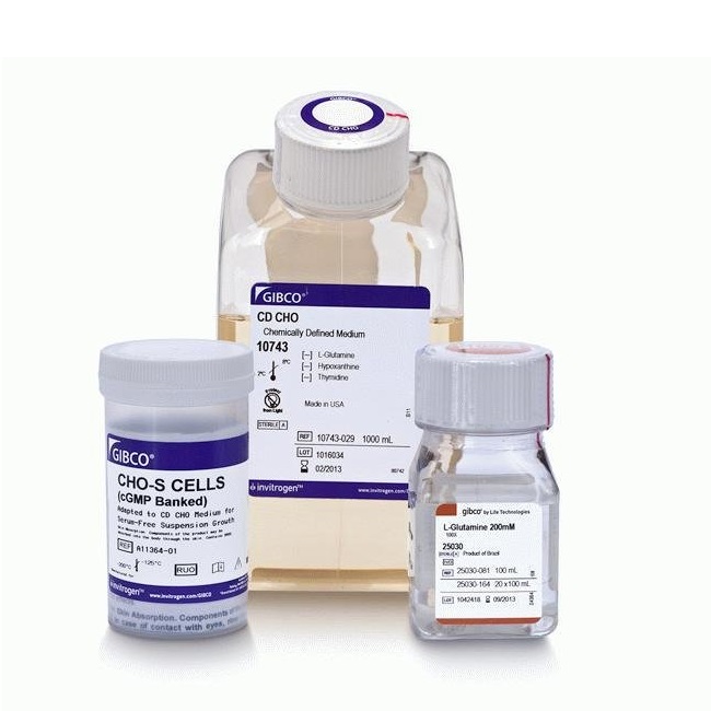 Gibco™ CHO-S Cells (cGMP banked) and Media Kit