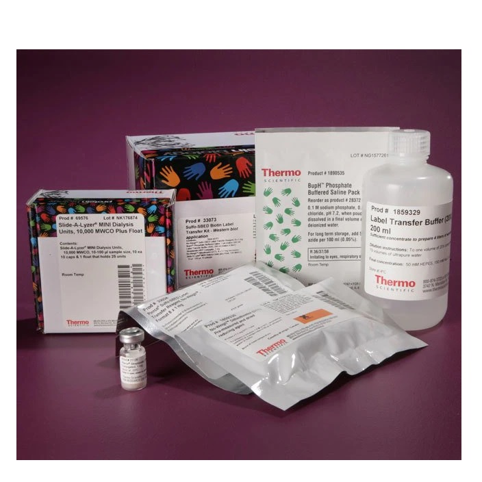 Thermo Scientific™ Sulfo-SBED Biotin Label Transfer Kit - Western Blot Application
