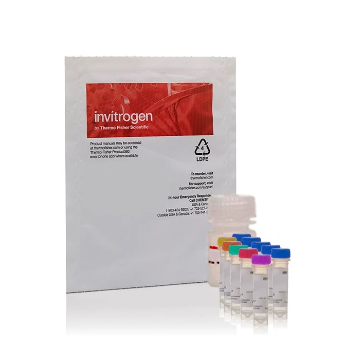 Invitrogen™ Amplex™ Red Phospholipase D Assay Kit