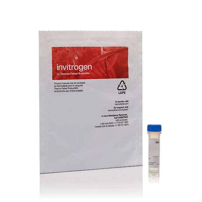 Invitrogen™ Streptavidin, Alexa Fluor™ 647 conjugate, 0.5 mL