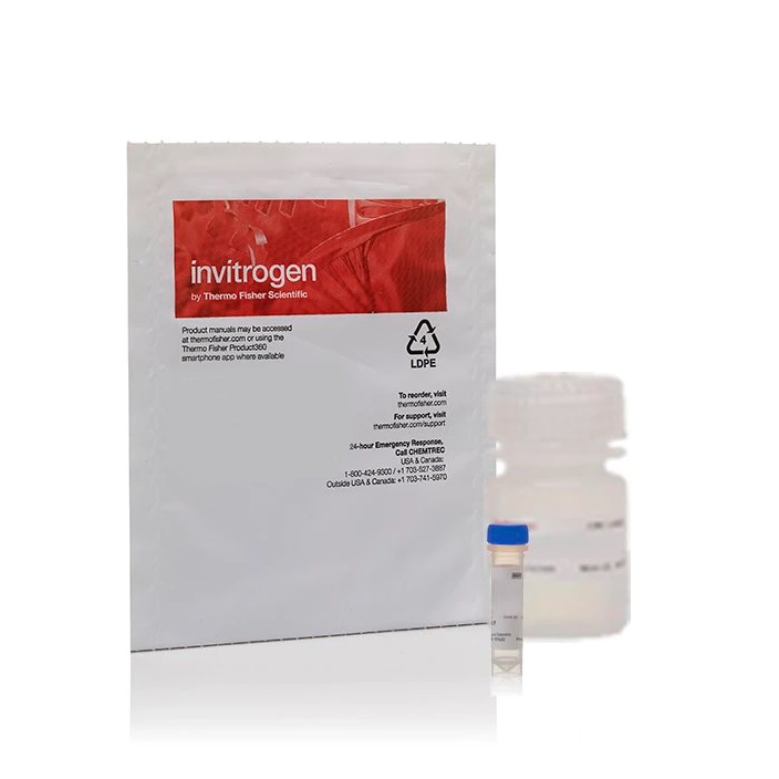 Invitrogen™ Fluo-4 NW Calcium Assay Kit, 10 Microplates
