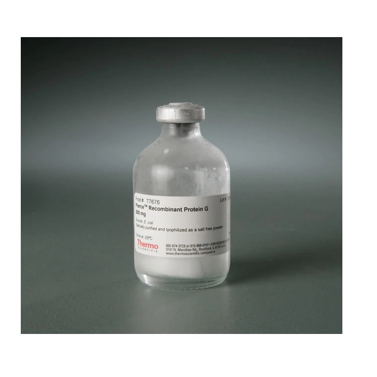 Thermo Scientific™ Pierce™ Recombinant Protein G, 500 mg