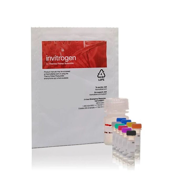Invitrogen™ Amplex™ Red Glutamic Acid/Glutamate Oxidase Assay Kit