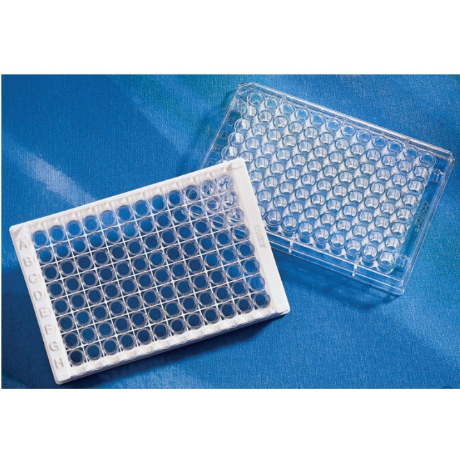 Corning® 96-well Clear Polystyrene Carbo-BIND™ Stripwell™ Microplate, Individually Wrapped, without Lid, Nonsterile