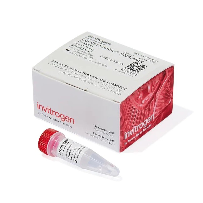 Invitrogen™ Lipofectamine™ RNAiMAX Transfection Reagent, 0.75 mL