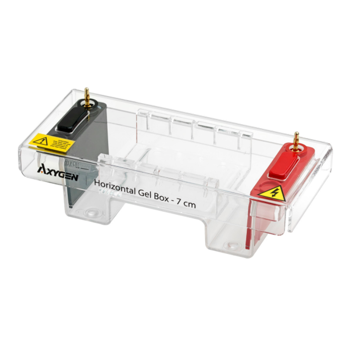 Axygen® Horizontal Gel Box, 7 cm