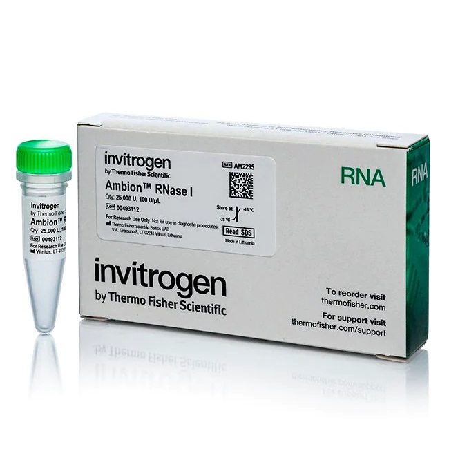 Invitrogen™ Ambion™ RNase I, cloned, 100 U/µL, 25,000 units