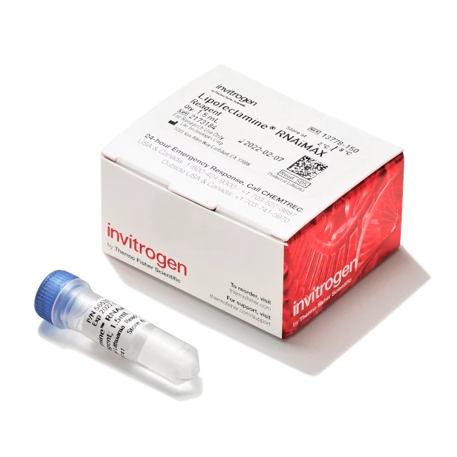 Invitrogen™ Lipofectamine™ RNAiMAX Transfection Reagent, 1.5 mL