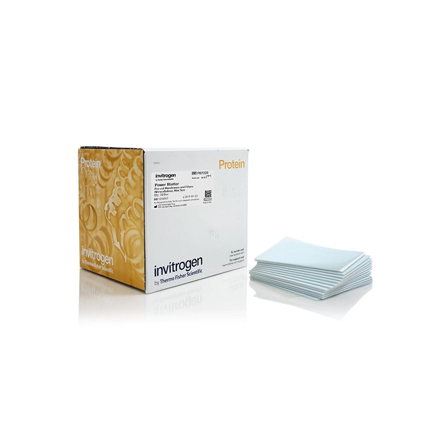 Invitrogen™ Power Blotter Pre-cut Membranes and Filters, nitrocellulose, mini