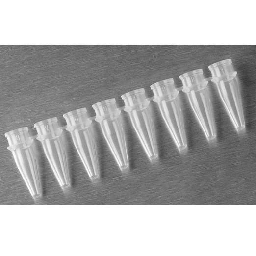 Axygen® Polypropylene PCR Tube Strips, 8 Tubes/Strip, Clear, Nonsterile, 0.2 mL