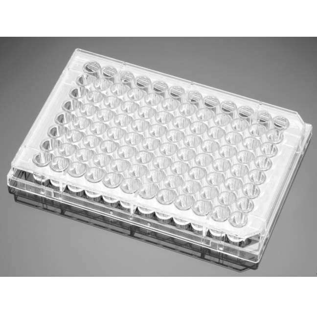 Corning® BioCoat® Gelatin 96-well Clear Flat Bottom Microplate, with Lid