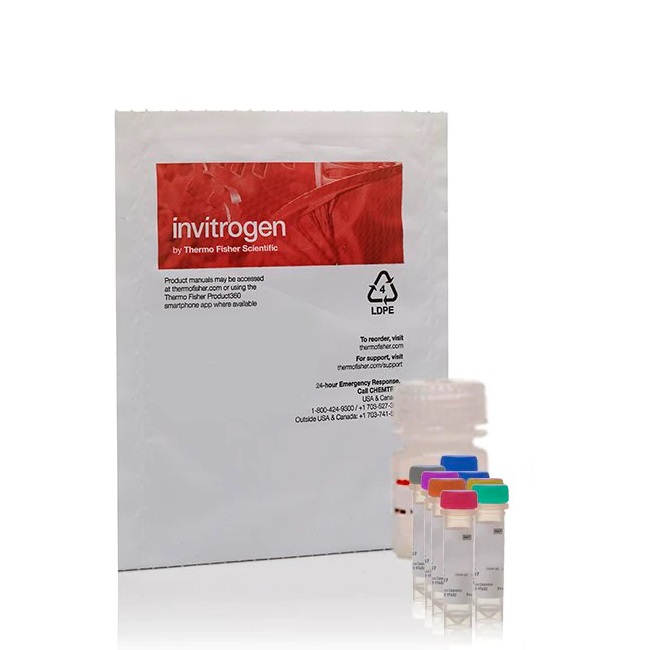 Invitrogen™ Amplex™ Red Xanthine/Xanthine Oxidase Assay Kit