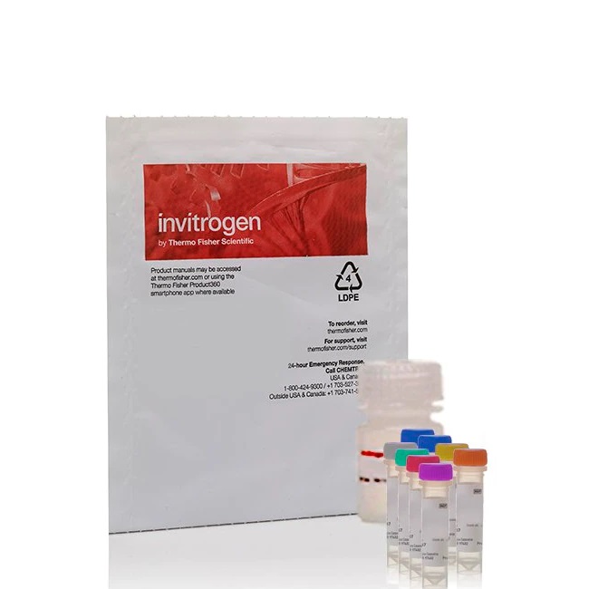 Invitrogen™ Amplex™ Red Neuraminidase (Sialidase) Assay Kit